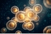 Аллантоин (INCI: ALLANTOIN) Аллантоин (INCI: ALLANTOIN)