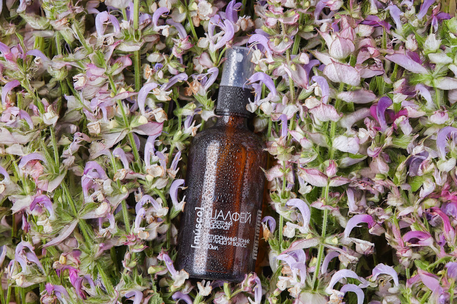 Гидролат шалфея в коричневом стеклянном флаконе на фоне свежих цветков шалфея