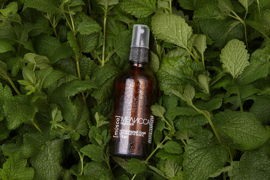 Гидролат мелиссы в коричневом стеклянном флаконе на фоне свежих листьев мелиссы